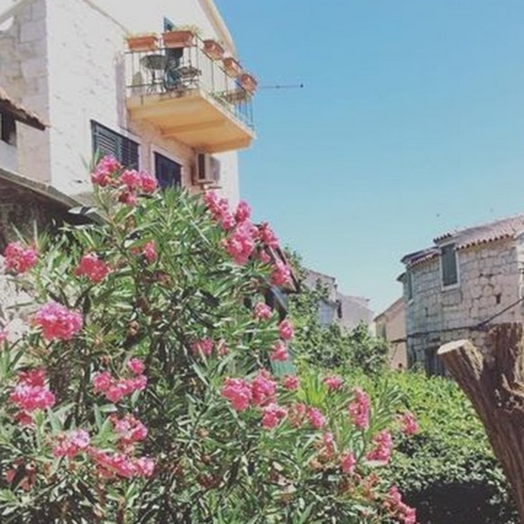 Meet your Posher, Juliette - Picture 1 of 1